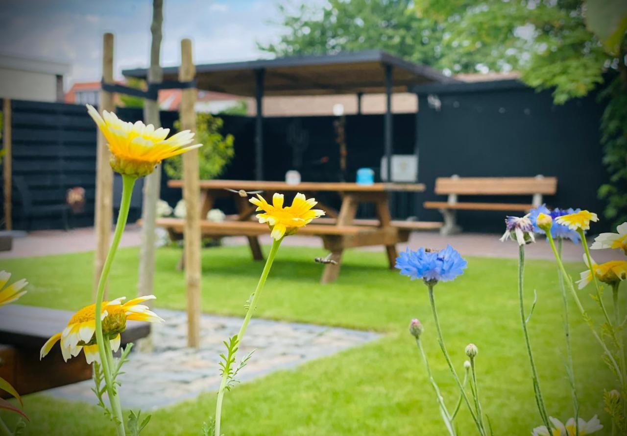 Flamingo Studio'S Zeeland Schoondijke Bagian luar foto