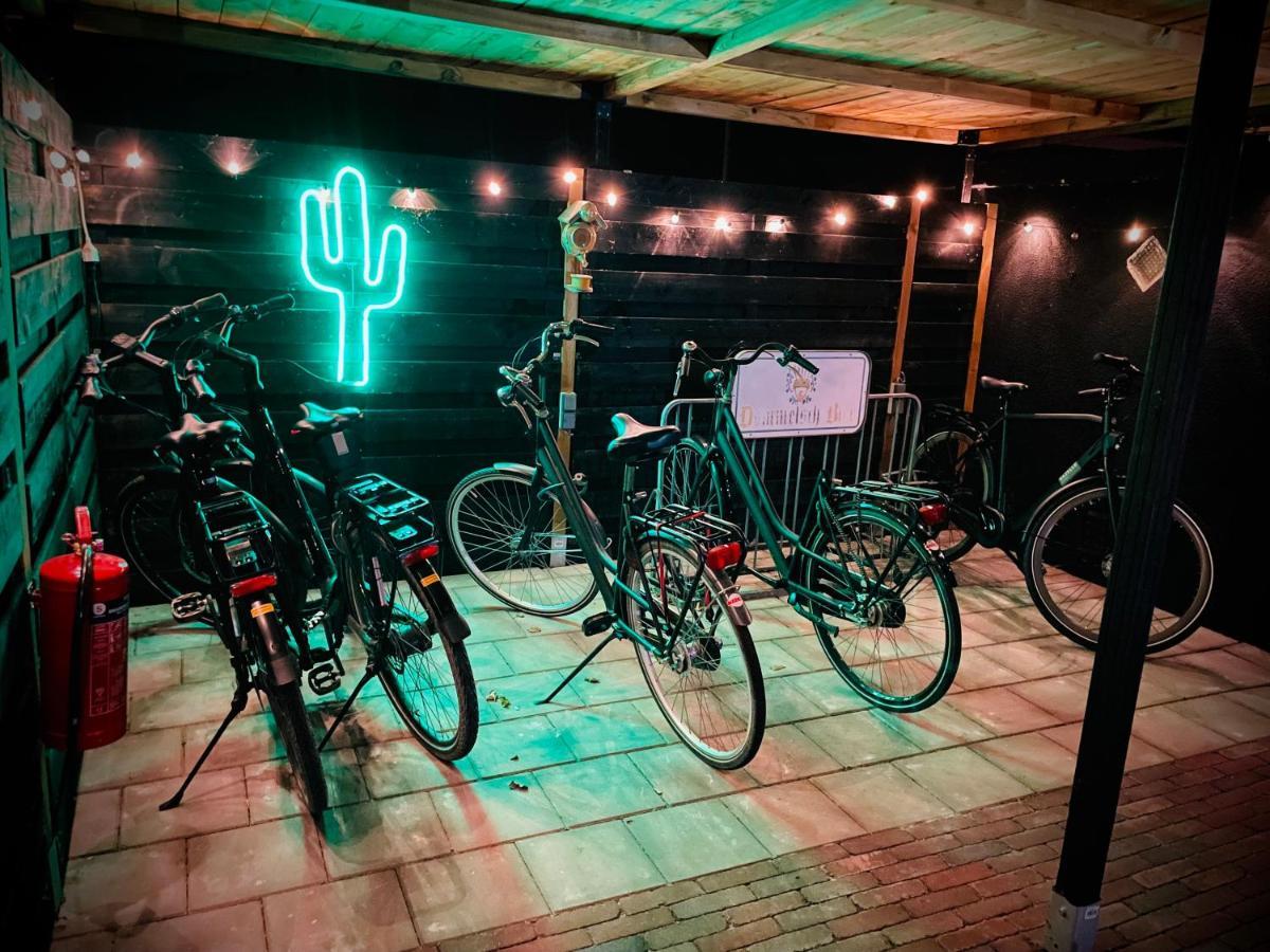 Flamingo Studio'S Zeeland Schoondijke Bagian luar foto